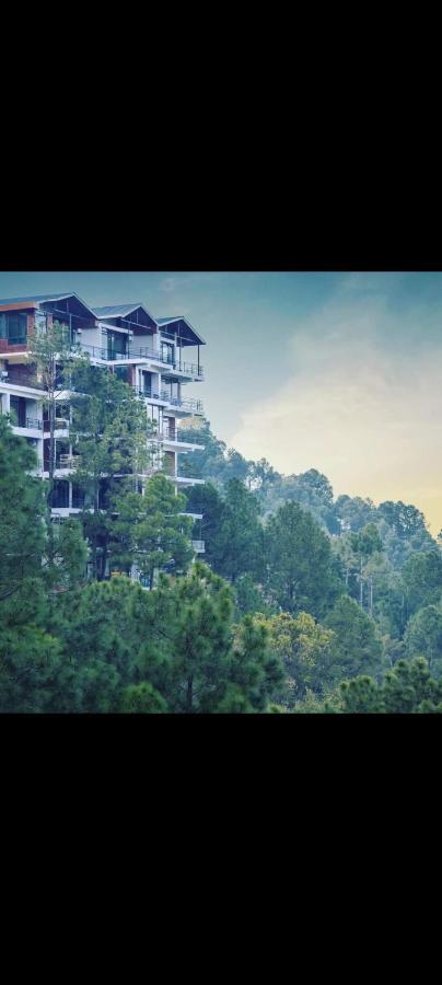 Host Jatin Mountain Crest Kasauli 7Oi827O7O3 Apartment Exterior photo